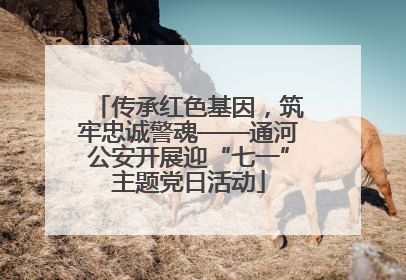 传承红色基因，筑牢忠诚警魂——通河公安开展迎“七一”主题党日活动