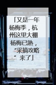 又是一年杨梅季，杭州这里大棚杨梅已熟，“采摘攻略”来了