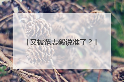 又被范志毅说准了？