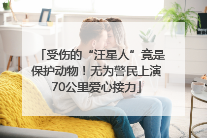 受伤的“汪星人”竟是保护动物！无为警民上演70公里爱心接力