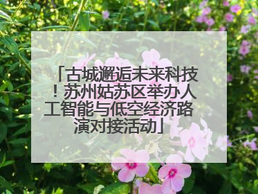 古城邂逅未来科技！苏州姑苏区举办人工智能与低空经济路演对接活动