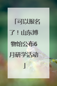 可以报名了！山东博物馆公布6月研学活动