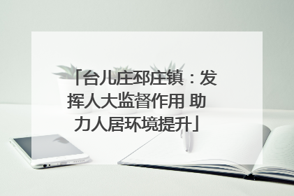 台儿庄邳庄镇：发挥人大监督作用 助力人居环境提升