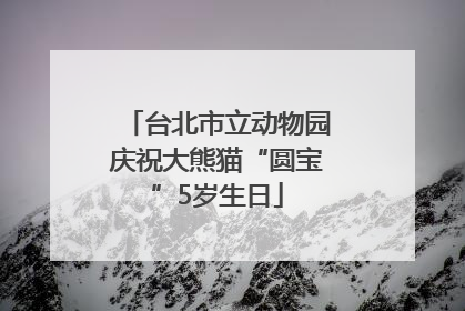 台北市立动物园庆祝大熊猫“圆宝”5岁生日