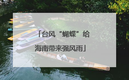 台风“蝴蝶”给海南带来强风雨