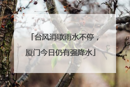 台风消歇雨水不停，厦门今日仍有强降水