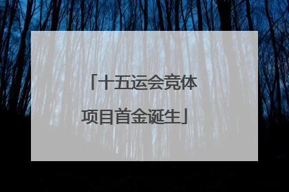 十五运会竞体项目首金诞生