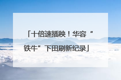 十倍速插秧！华容“铁牛”下田刷新纪录