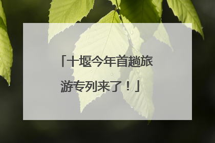 十堰今年首趟旅游专列来了！