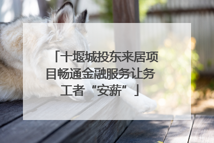 十堰城投东来居项目畅通金融服务让务工者“安薪”