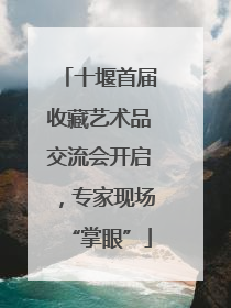 十堰首届收藏艺术品交流会开启，专家现场“掌眼”