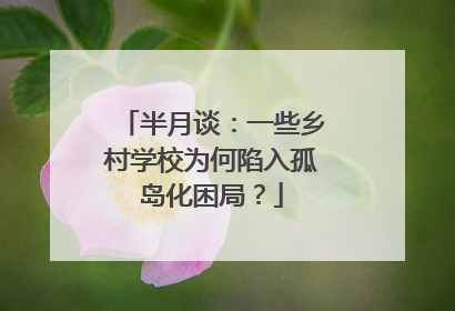 半月谈：一些乡村学校为何陷入孤岛化困局？