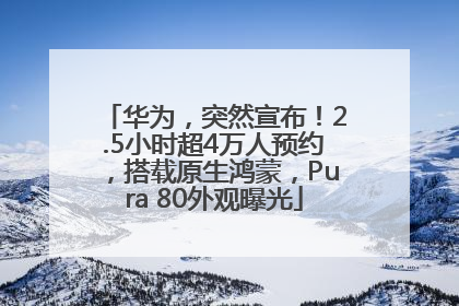 华为，突然宣布！2.5小时超4万人预约，搭载原生鸿蒙，Pura 80外观曝光