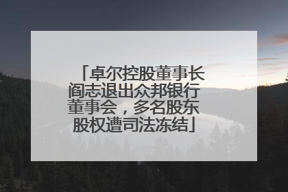 卓尔控股董事长阎志退出众邦银行董事会，多名股东股权遭司法冻结