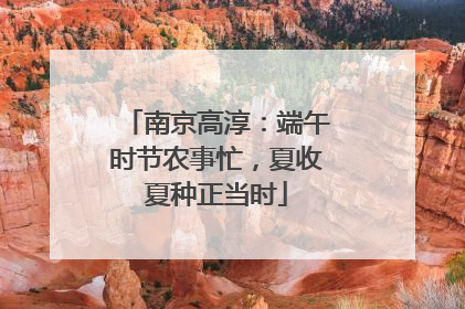 南京高淳：端午时节农事忙，夏收夏种正当时