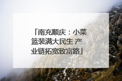 南充顺庆：小菜篮装满大民生 产业链拓宽致富路
