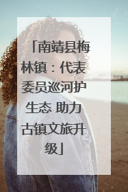 南靖县梅林镇：代表委员巡河护生态 助力古镇文旅升级