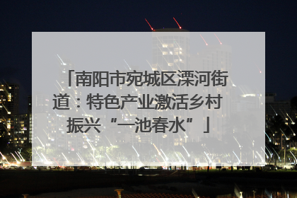 南阳市宛城区溧河街道：特色产业激活乡村振兴“一池春水”
