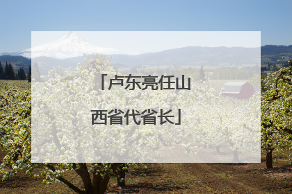 卢东亮任山西省代省长