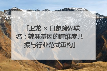卫龙 × 白象跨界联名：辣味基因的跨维度共振与行业范式重构