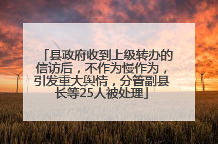 县政府收到上级转办的信访后，不作为慢作为，引发重大舆情，分管副县长等25人被处理