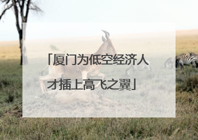 厦门为低空经济人才插上高飞之翼