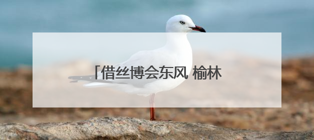 借丝博会东风 榆林横山区启动横山老腰鼓吉尼斯世界纪录申请