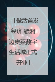 做活首发经济 赣湘边奥莱数字生活城正式开业