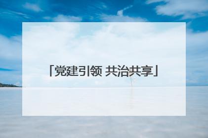 党建引领 共治共享
