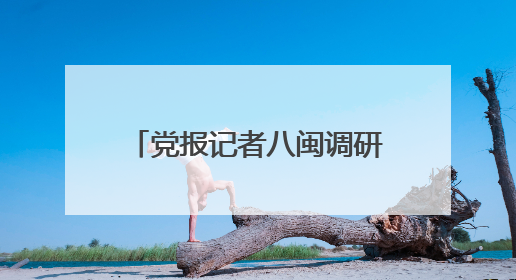 党报记者八闽调研行｜普惠托育，带娃的“好搭子”
