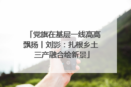 党旗在基层一线高高飘扬丨刘影：扎根乡土 三产融合绘新景