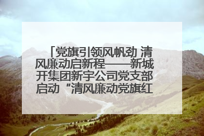 党旗引领风帆劲 清风廉动启新程——新城开集团新宇公司党支部启动“清风廉动党旗红”系列活动