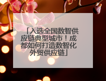 入选全国数智供应链典型城市！成都如何打造数智化外贸供应链