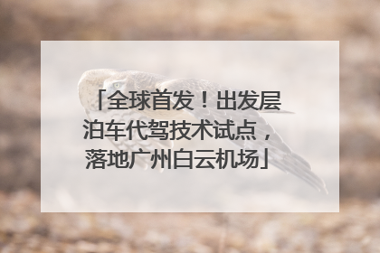 全球首发！出发层泊车代驾技术试点，落地广州白云机场