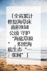 全省累计修复海草床面积938公顷 守护“海底草原”，织密海底生态“一张网”