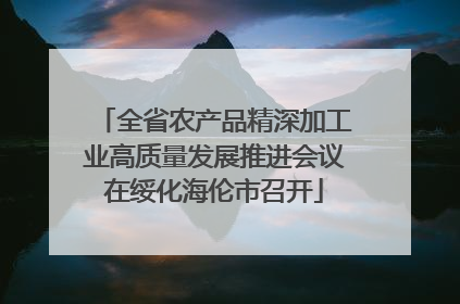全省农产品精深加工业高质量发展推进会议在绥化海伦市召开