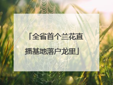 全省首个兰花直播基地落户龙里