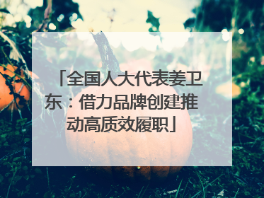 全国人大代表姜卫东：借力品牌创建推动高质效履职
