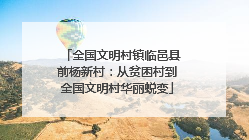 全国文明村镇临邑县前杨新村：从贫困村到全国文明村华丽蜕变