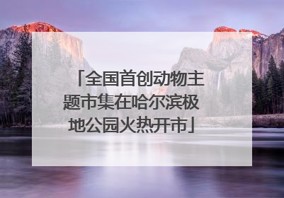 全国首创动物主题市集在哈尔滨极地公园火热开市