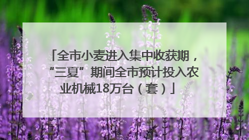全市小麦进入集中收获期，“三夏”期间全市预计投入农业机械18万台（套）