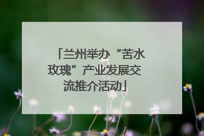 兰州举办“苦水玫瑰”产业发展交流推介活动