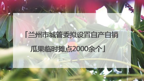兰州市城管委拟设置自产自销瓜果临时摊点2000余个