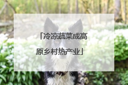 冷凉蔬菜成高原乡村热产业