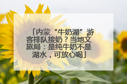 内蒙“牛奶湖”游客排队接奶？当地文旅局：是纯牛奶不是湖水，可放心喝