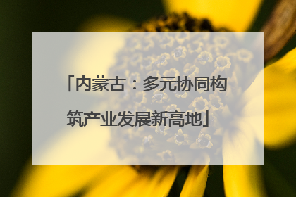 内蒙古：多元协同构筑产业发展新高地