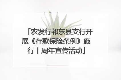 农发行祁东县支行开展《存款保险条例》施行十周年宣传活动