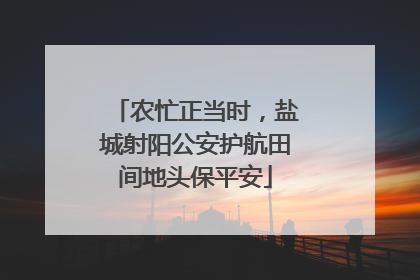 农忙正当时，盐城射阳公安护航田间地头保平安