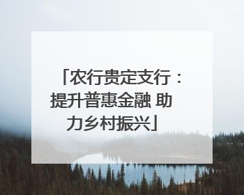 农行贵定支行：提升普惠金融 助力乡村振兴