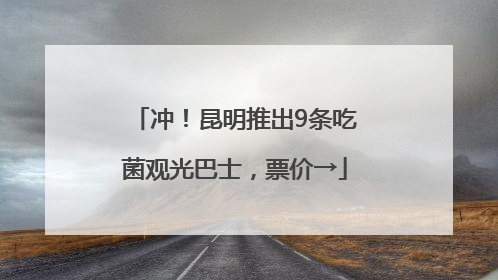 冲！昆明推出9条吃菌观光巴士，票价→